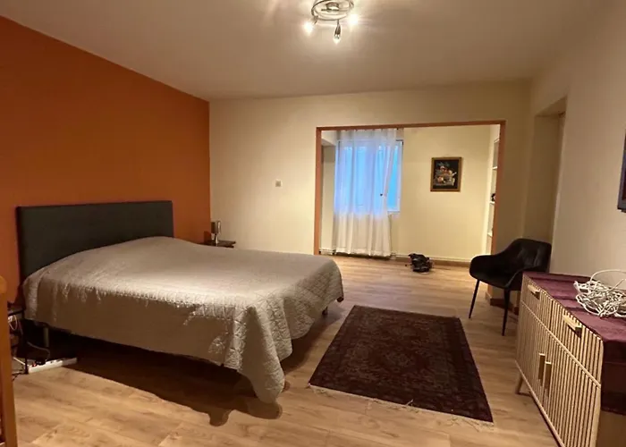 Bel Appartement en RDC proche Strasbourg